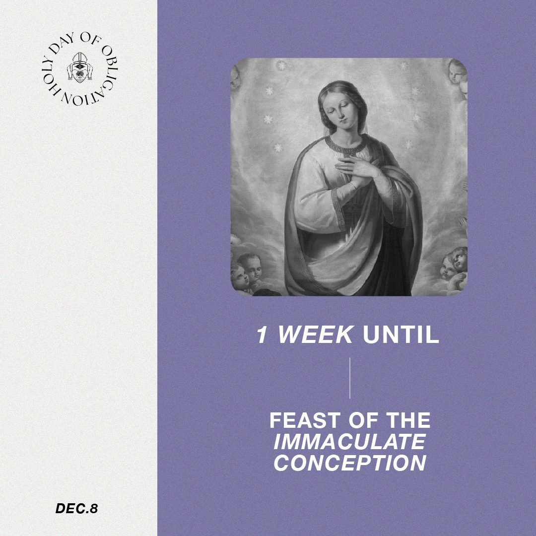 Don't forget - we're 1 week away from the Feast of the Immaculate Conception - a Holy Day of Obligation in our Diocese!⁠
⁠
🗓 Mark your calendar for Thursday, December 8 & check out your local parish for Mass times so you can be sure to celebrate this Holy Day of Obligation.⁠
⁠
Visit the link in bio to find a parish near you. ⛪