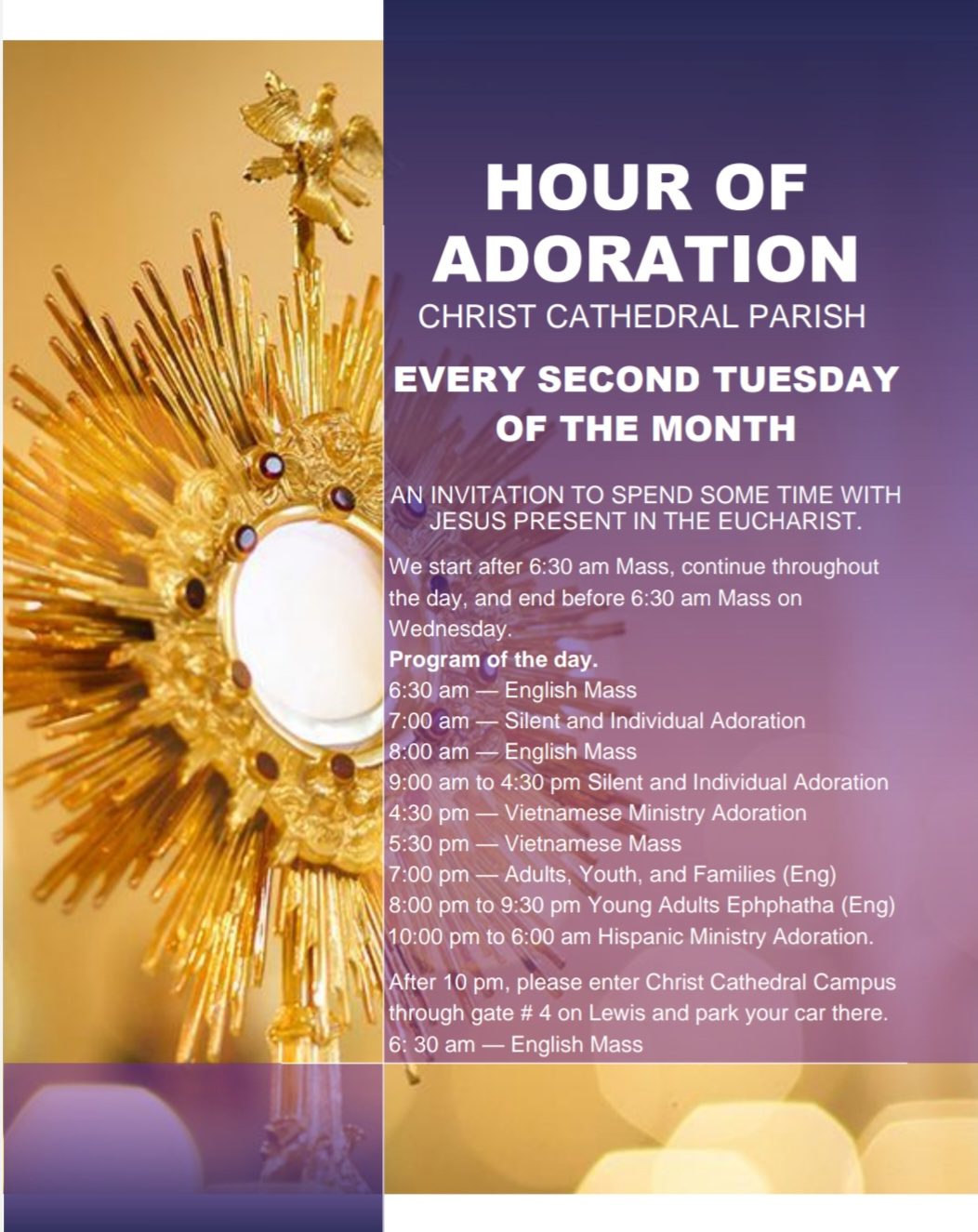 2022 11 04 hour of adoration christ cathedral parish