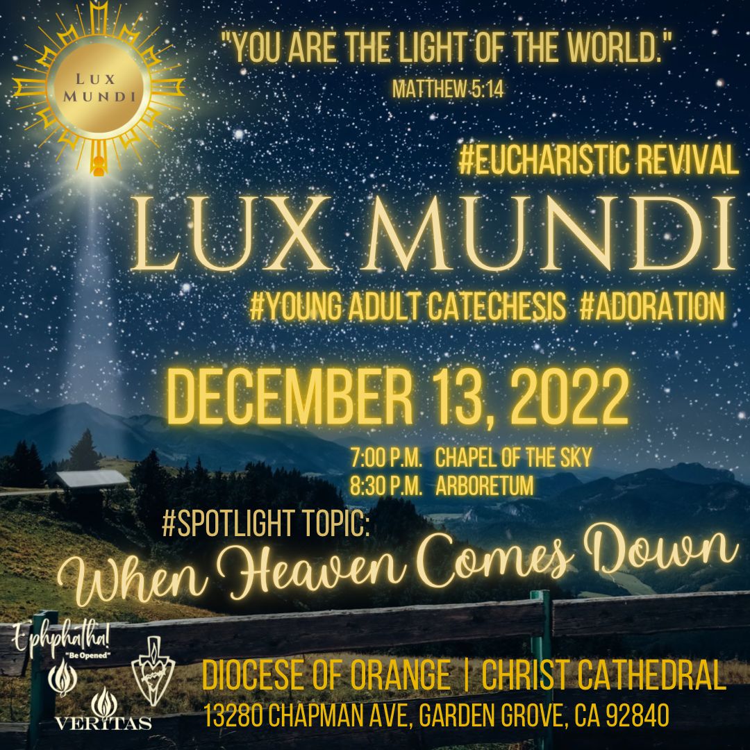 2022 11 12 lux mundi christ cathedral