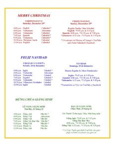 Christ Cathedral Christmas Mass Schedule
