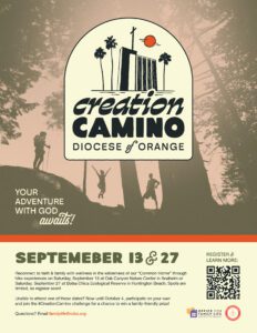 Creation Camino Flyer ENG