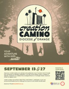 Creation Camino Flyer