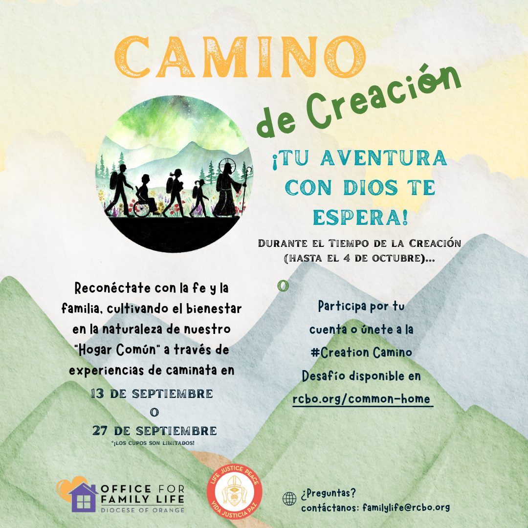 Camino de Creacion spanish