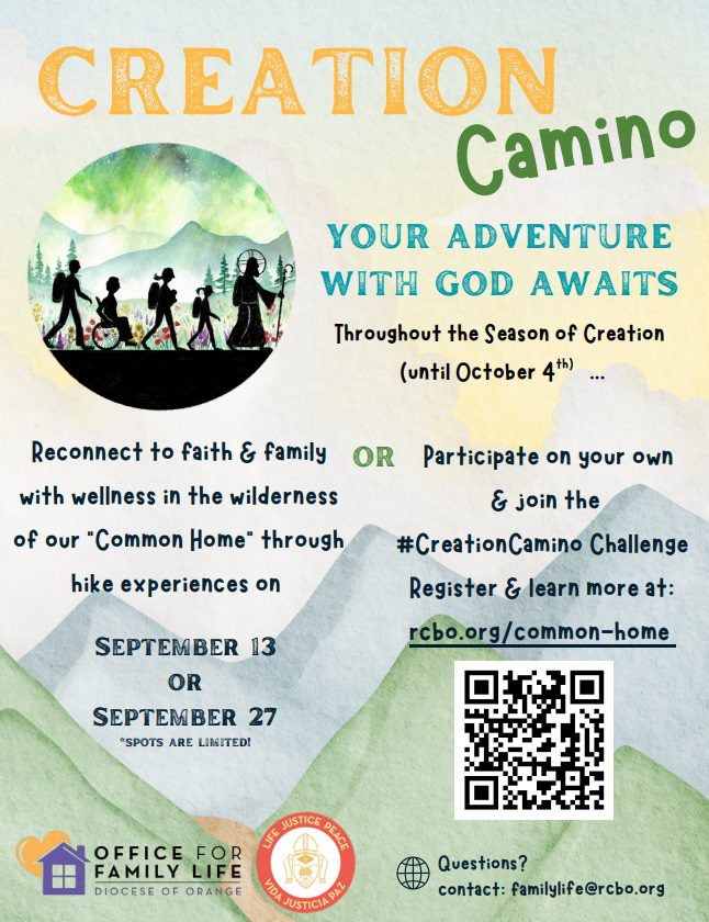 Creation Camino