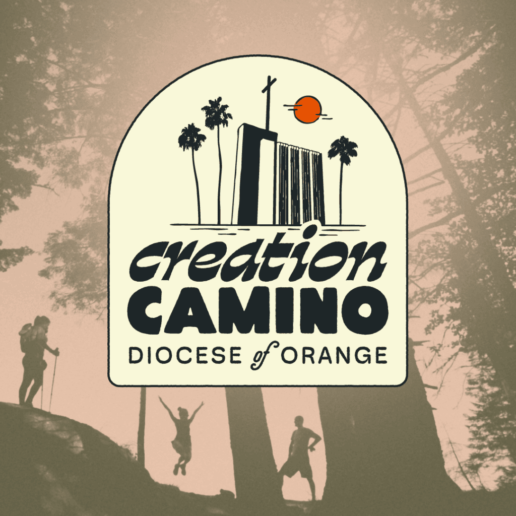RCBO home creation camino