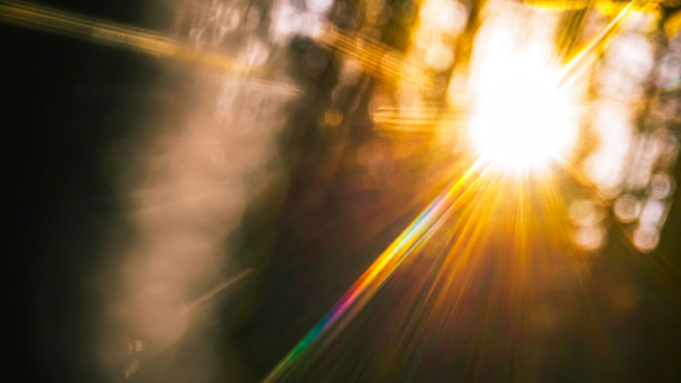 School of Evangelization - Roman Catholic Diocese of Orange