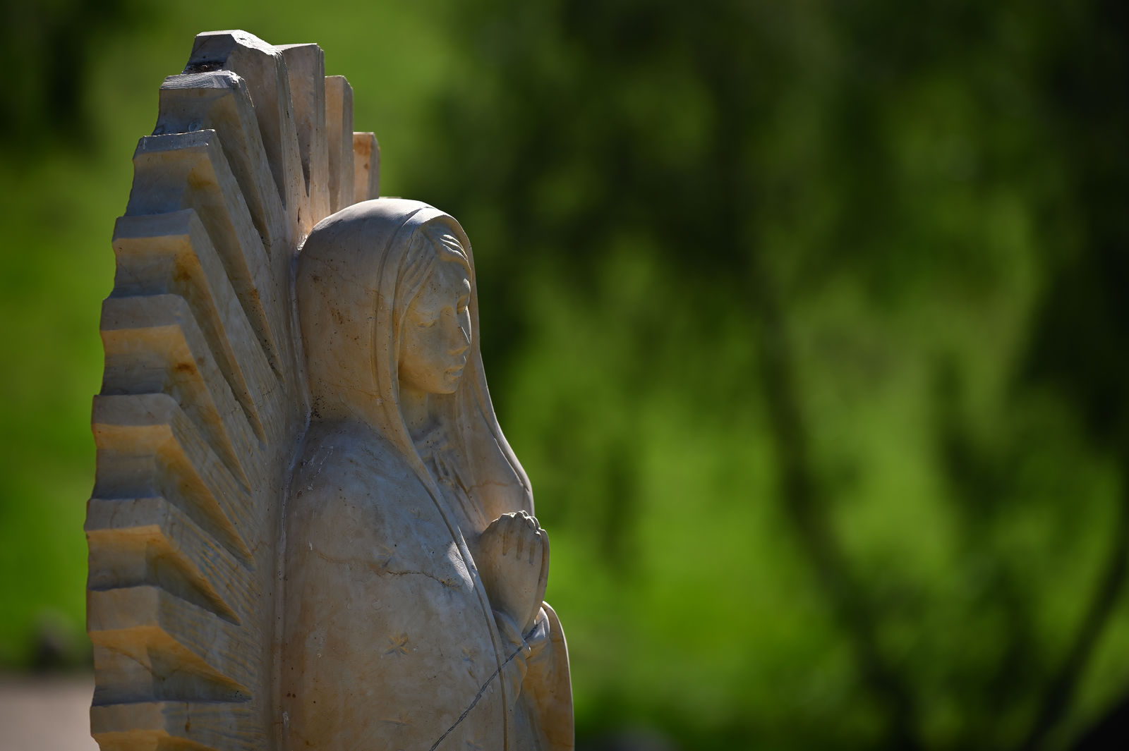 Our Lady of Guadalupe - Roman Catholic Diocese of Orange