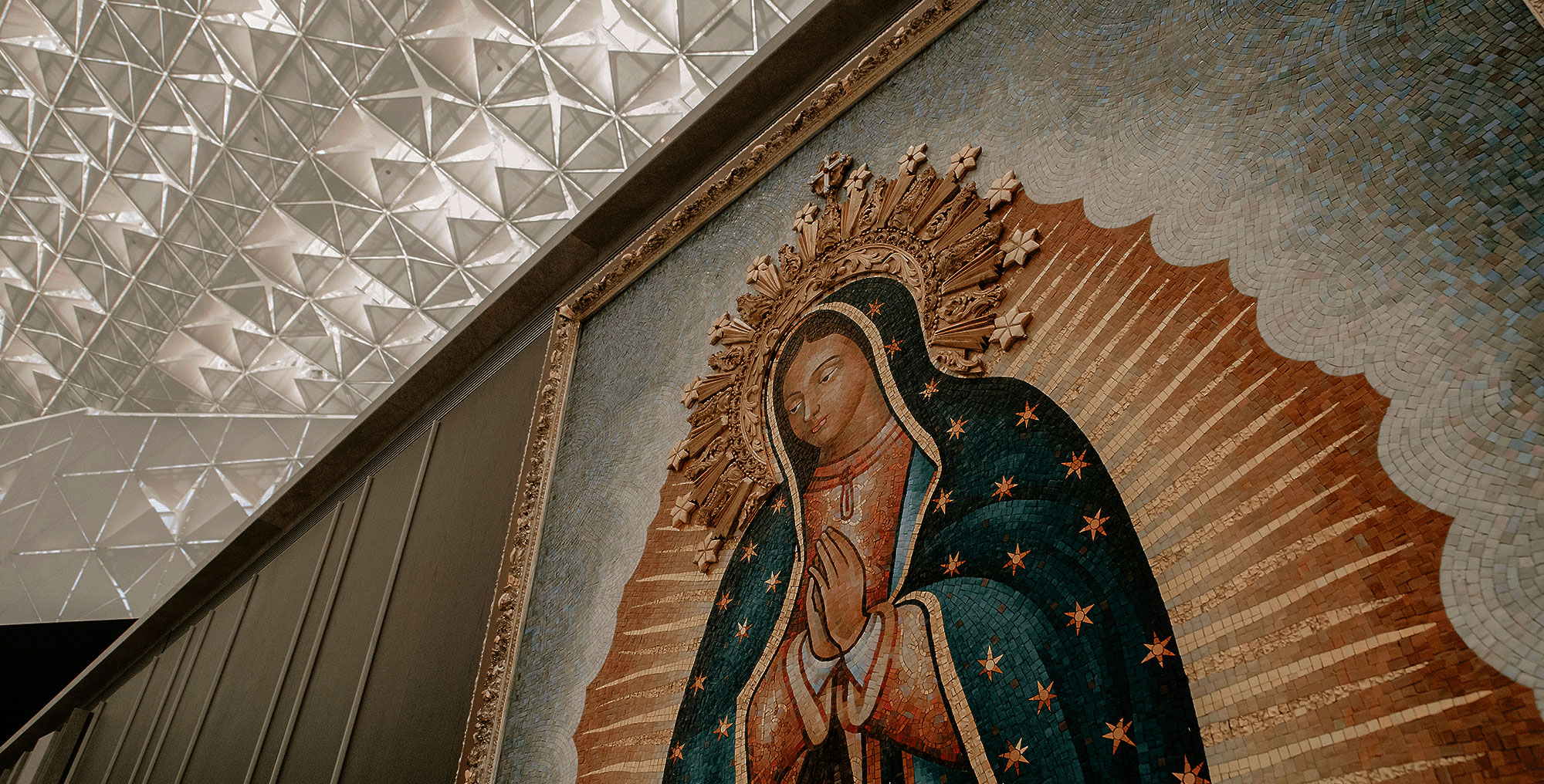 Frequently Asked Questions | Get Answers | RCBO