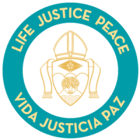 Z_Diocese-Logo_New_green-300x300-1.png